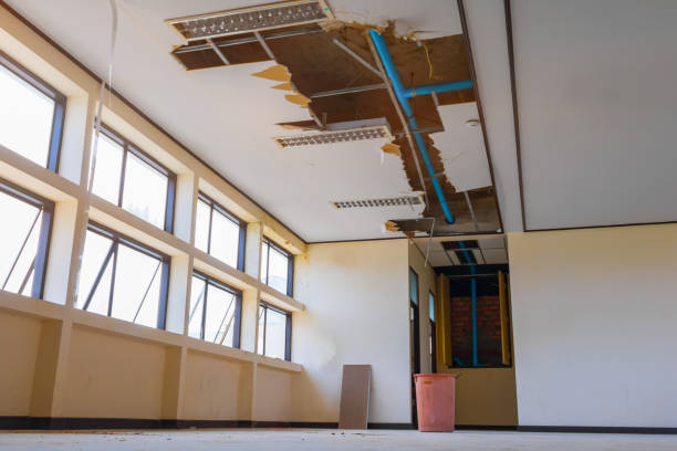Best Flood restoration services  in Morgantown, MS