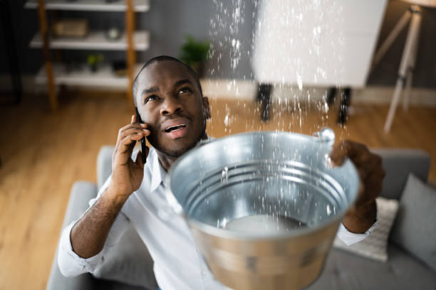 Water damage restoration mold remediation in Morgantown, MS