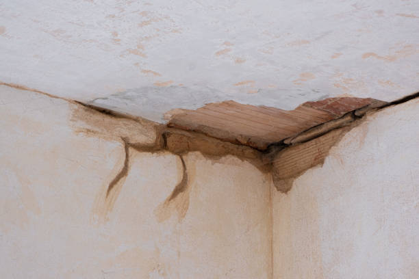 Best Water damage contractors near me  in Morgantown, MS