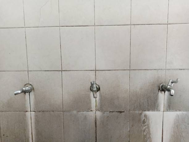 Best Carpet water damage restoration  in Morgantown, MS