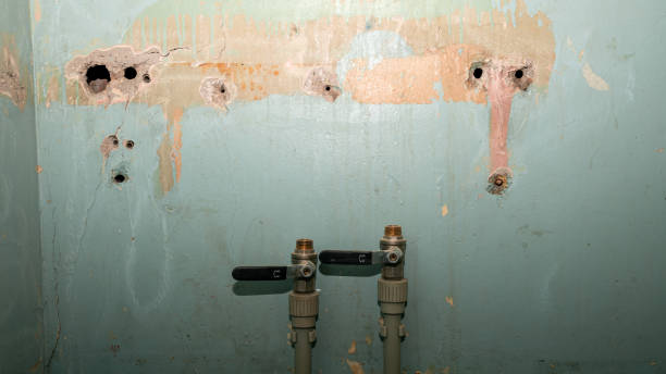 Best Water damage cleanup near me  in Morgantown, MS