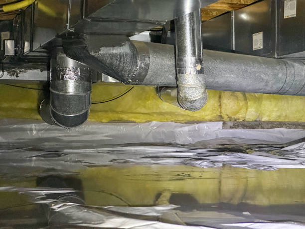 Best Professional water damage repair  in Morgantown, MS